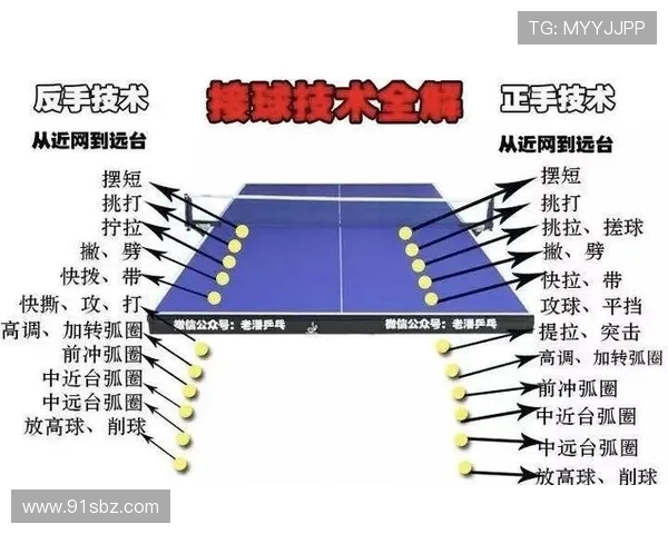 乒乓球运动的技术演进与未来发展趋势探析