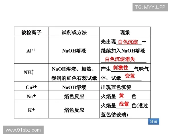 广州篮球队的整体压制策略解析与战术深度剖析