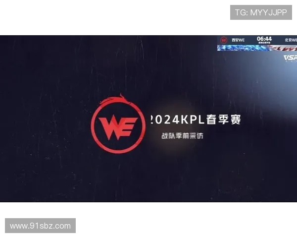 王者荣耀专题：聚焦WE的力量